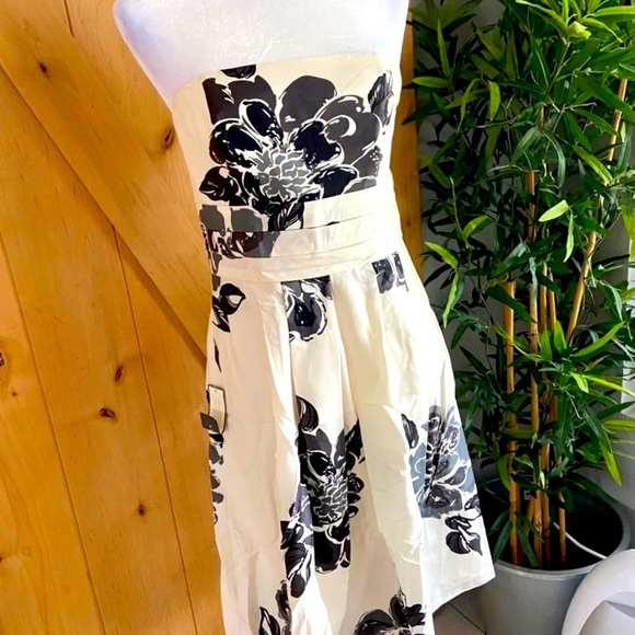 Ann Taylor B&W Floral Garden Dress 100% Cotton